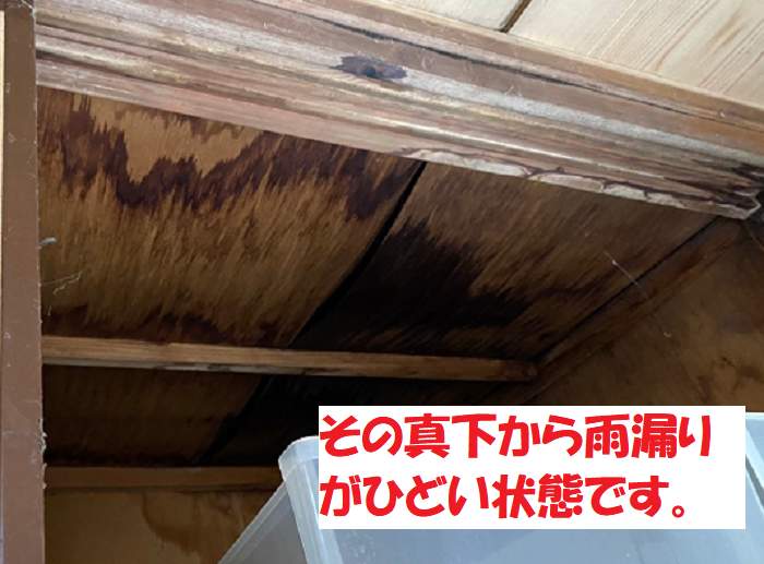 飛散した瓦の下から雨漏りしている